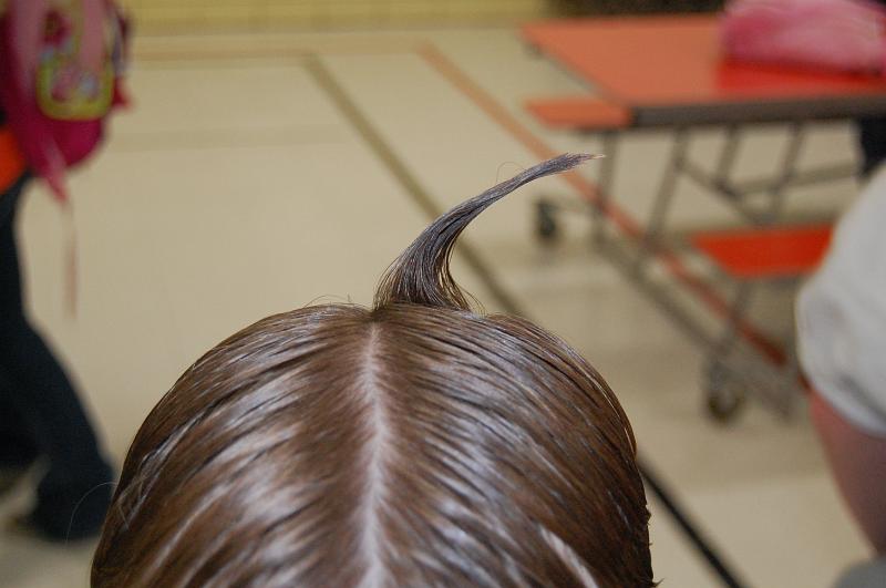 20090129 001.jpg